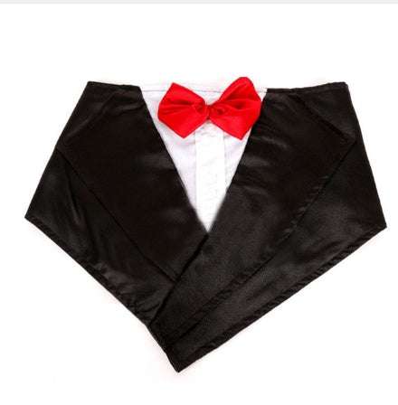Wedding tuxedo dog outfit.