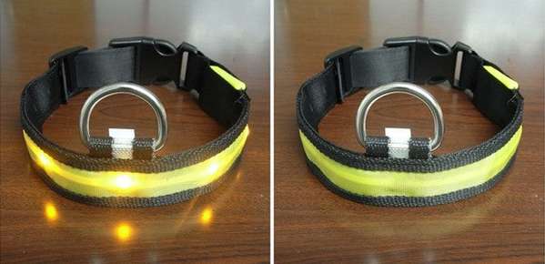 Luminous Led Pet Collar - Various sizes