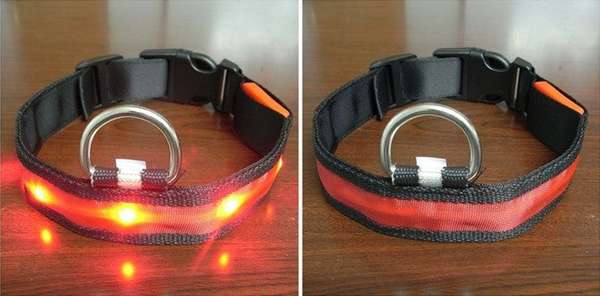 Luminous Led Pet Collar - Various sizes