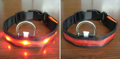 Luminous Led Pet Collar - Various sizes