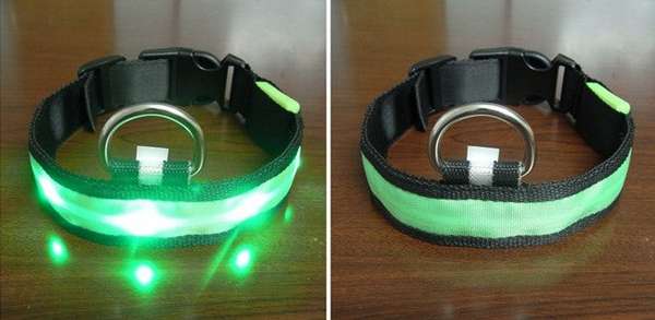 Luminous Led Pet Collar - Various sizes