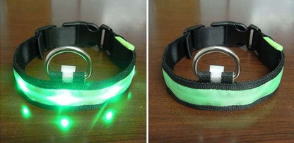 Luminous Led Pet Collar - Various sizes