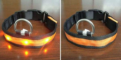 Luminous Led Pet Collar - Various sizes