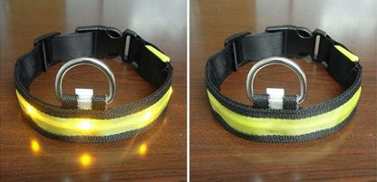 Luminous Led Pet Collar - Various sizes