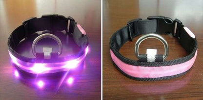 Luminous Led Pet Collar - Various sizes