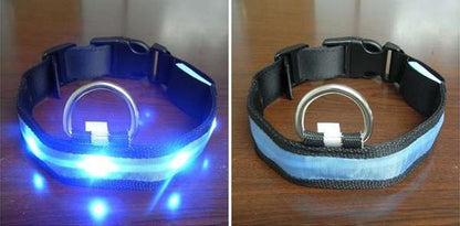 Luminous Led Pet Collar - Various sizes