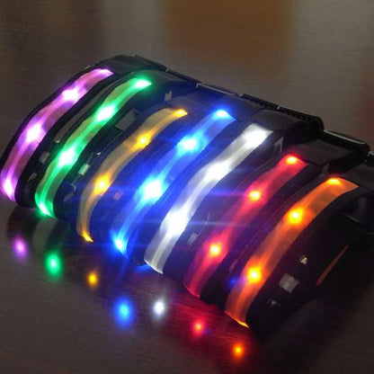 Luminous Led Pet Collar - Various sizes