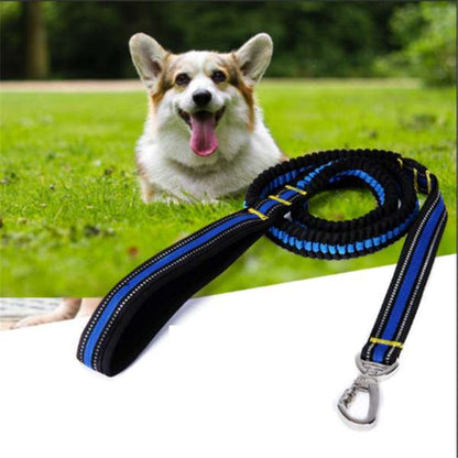Dog High Elastic Traction lead Strong Fastener - Treats N Squeaks