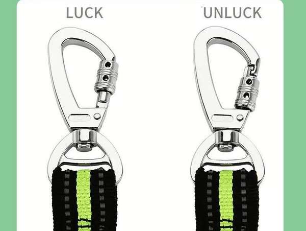 Dog High Elastic Traction lead Strong Fastener - Treats N Squeaks