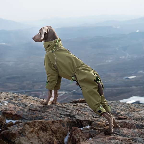 Large Dog Four-leg Shell Jacket Windproof Turtleneck Outdoor