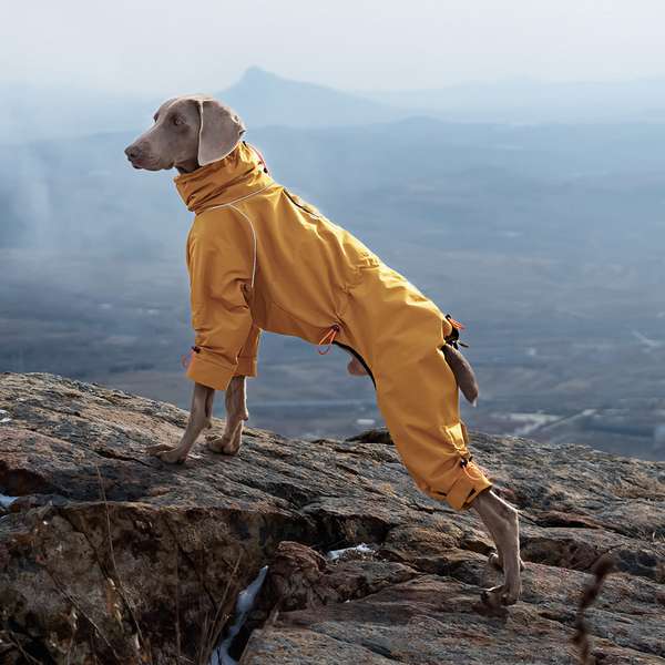 Large Dog Four-leg Shell Jacket Windproof Turtleneck Outdoor